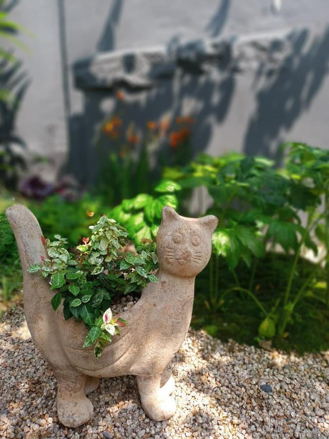 Hanok Got Seul Dış mekan fotoğraf